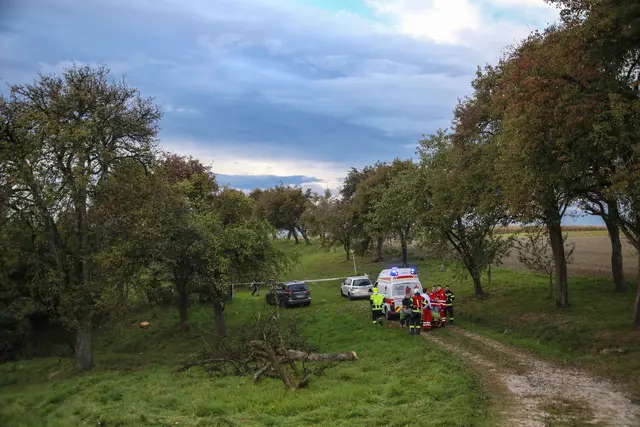 Foto: laumat/Matthias Lauber