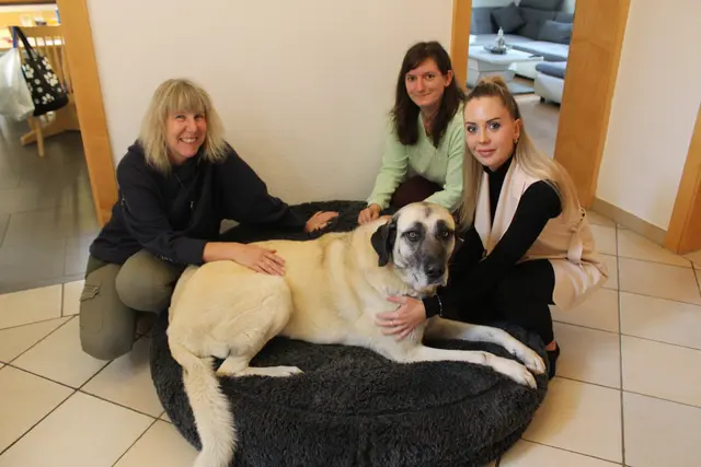 Vereinsmitglieder Angela, Jennifer und Sabrina mit Jennifers Hündin, die sie aus dem Tierheim adoptiert hat. 