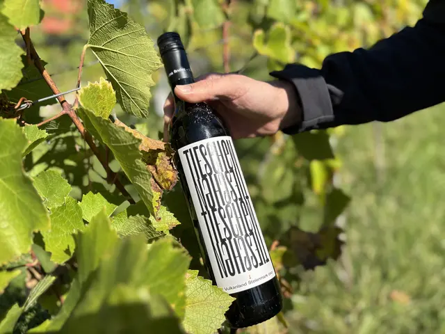 Der neue Ortswein der Tau-Winzer | Foto: MeinBezirk/Gerda Sammer-Schmidt