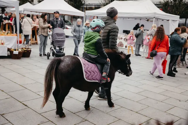 Foto: Sophia Hartsch – bunterpixel Fotografie