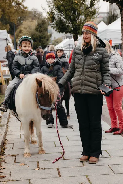 Foto: Sophia Hartsch – bunterpixel Fotografie