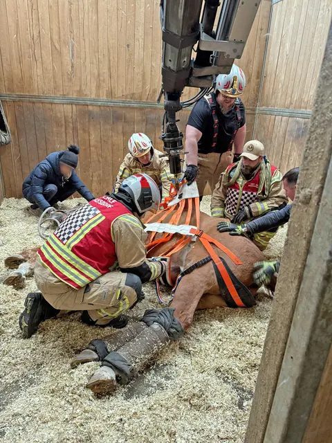 Hebegurte wurden angelegt. | Foto: BFKDO Baden / Stefan Schneider