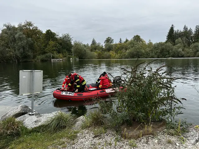 Am 4. Oktober dieses Jahres trafen sich die Österreichische Rettungshundebrigade (ÖRHB) und die Feuerwehr Stadl-Paura zu einer gemeinsamen Übung: Personensuche mit Einsatz von Booten im Au-Gebiet. | Foto: MeinBezirk