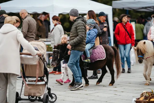 Foto: Sophia Hartsch – bunterpixel Fotografie