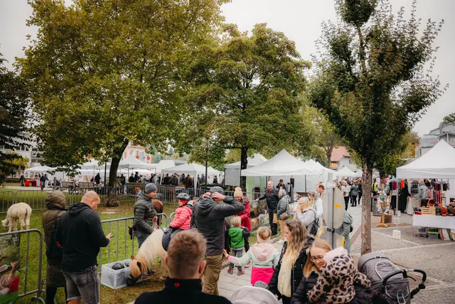 Foto: Sophia Hartsch – bunterpixel Fotografie