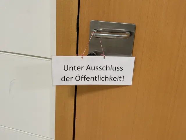 Ein Teil der Verhandlung fand unter Ausschluss der Öffentlichkeit statt.  | Foto: Ronja Reidinger/MeinBezirk