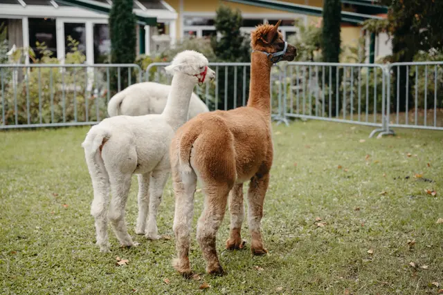 Foto: Sophia Hartsch – bunterpixel Fotografie