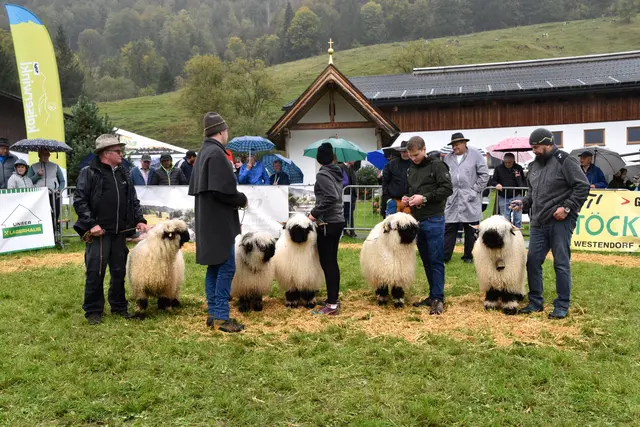 Foto: MeinBezirk/Johanna Bamberger