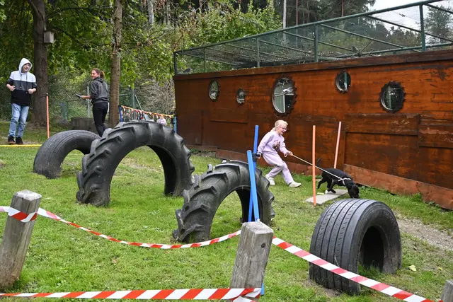 Die Hunderalley sorgte für eine grandiose Unterhaltung. | Foto: Königer
