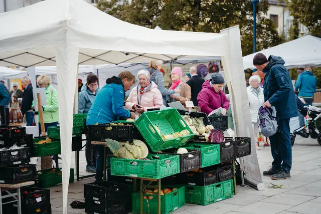 Foto: Sophia Hartsch – bunterpixel Fotografie