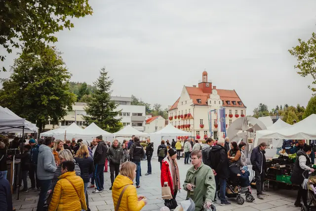 Foto: Sophia Hartsch – bunterpixel Fotografie