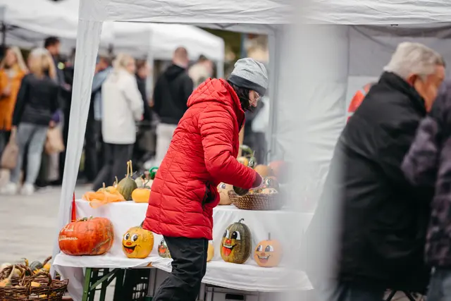 Foto: Sophia Hartsch – bunterpixel Fotografie