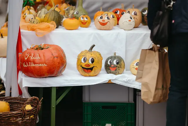 Foto: Sophia Hartsch – bunterpixel Fotografie