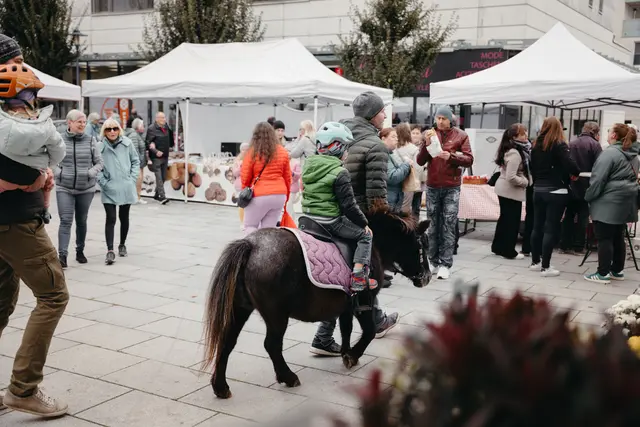 Foto: Sophia Hartsch – bunterpixel Fotografie