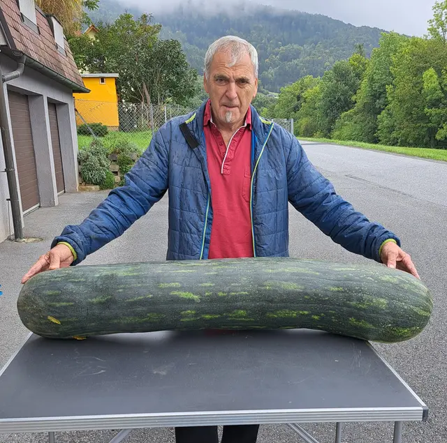 Dieses Jahr konnte der Naaser Johann Breisler einen 121cm langen Kürbis ernten. | Foto: Johann Breisler