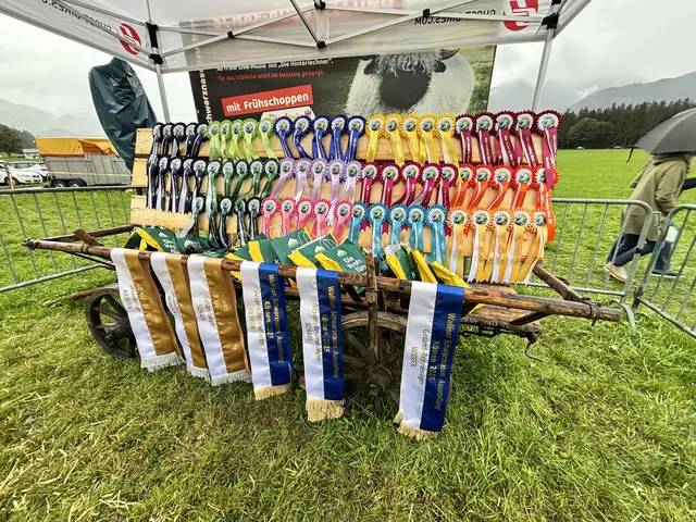 Foto: MeinBezirk/Johanna Bamberger