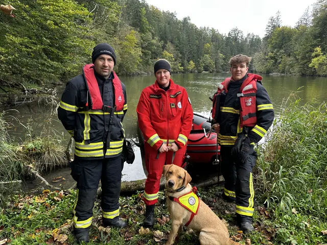 Am 4. Oktober dieses Jahres trafen sich die Österreichische Rettungshundebrigade (ÖRHB) und die Feuerwehr Stadl-Paura zu einer gemeinsamen Übung: Personensuche mit Einsatz von Booten im Au-Gebiet. | Foto: MeinBezirk