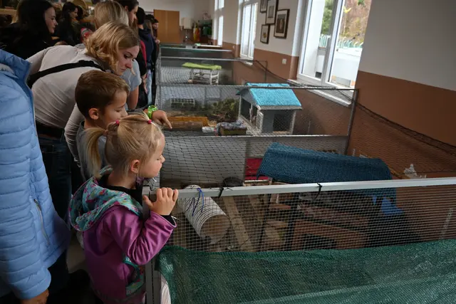 Beim Tag der offenen Tür im Tierheim Mentlberg gingen sicher einige Kinder mit einem Haustierwunsch nach Hause. | Foto: Königer