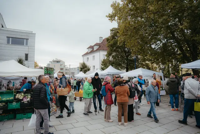 Foto: Sophia Hartsch – bunterpixel Fotografie