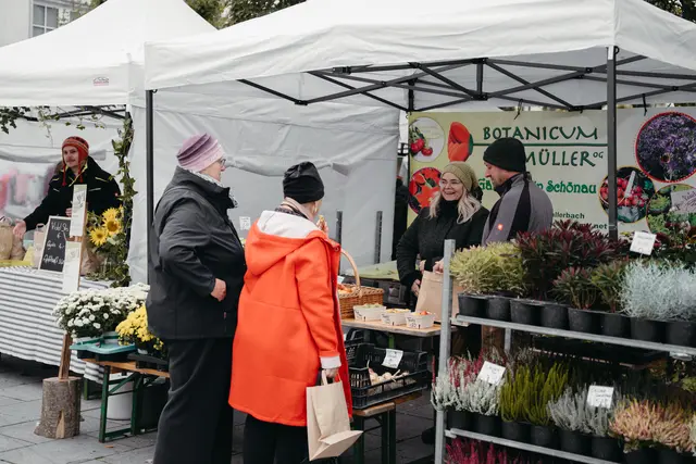 Foto: Sophia Hartsch – bunterpixel Fotografie