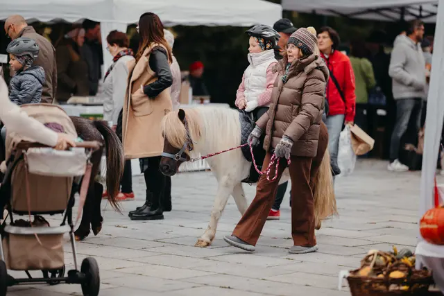 Foto: Sophia Hartsch – bunterpixel Fotografie