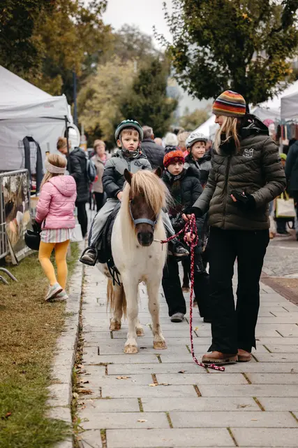 Foto: Sophia Hartsch – bunterpixel Fotografie