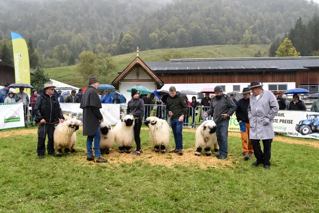 Foto: MeinBezirk/Johanna Bamberger