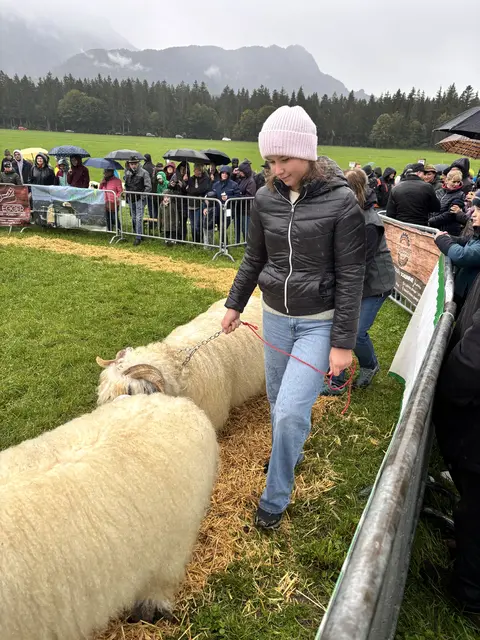 Foto: MeinBezirk/Johanna Bamberger