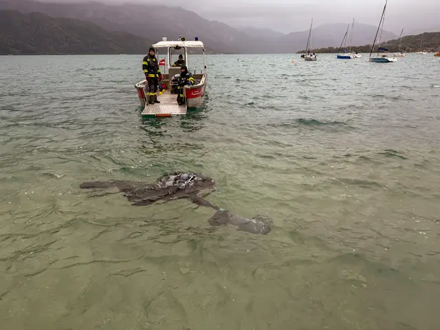 Nach rund 2,5 Stunden konnte die Übung erfolgreich beendet werden. | Foto: C. Stoxreiter