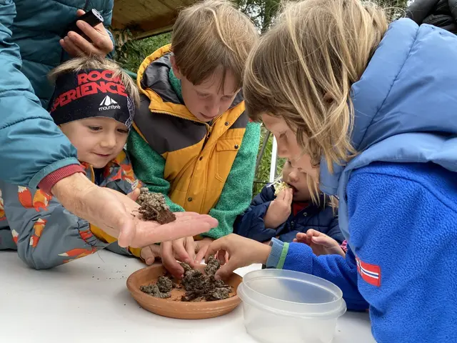 Foto: Sonja Haubenhofer