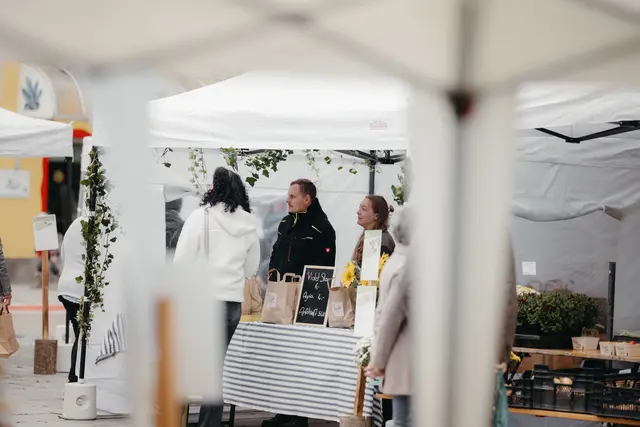 Foto: Sophia Hartsch – bunterpixel Fotografie