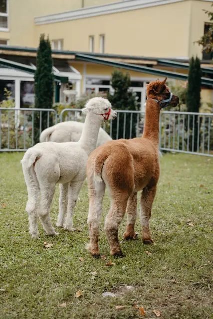 Foto: Sophia Hartsch – bunterpixel Fotografie