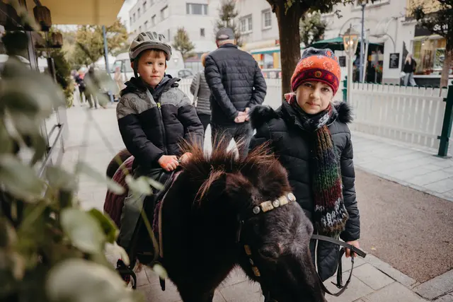 Foto: Sophia Hartsch – bunterpixel Fotografie