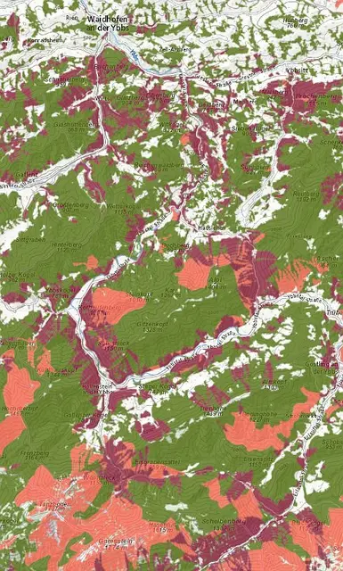 Ausschnitt aus dem Waldatlas mit den Schutzwäldern im Bezirk | Foto: WLV