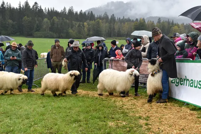 Foto: MeinBezirk/Johanna Bamberger