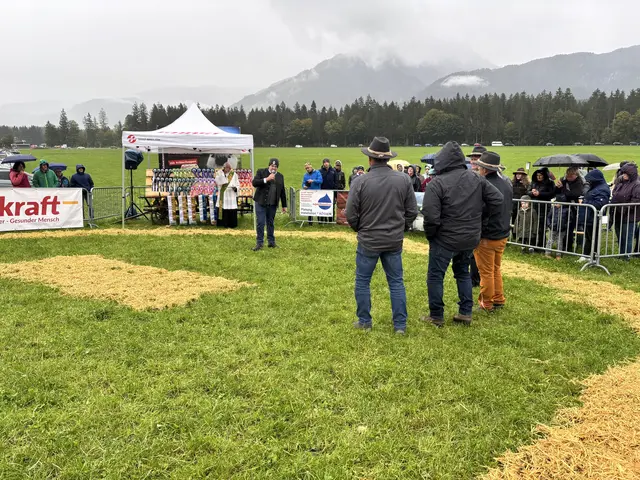 Foto: MeinBezirk/Johanna Bamberger