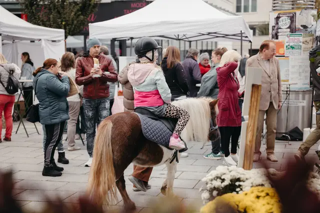 Foto: Sophia Hartsch – bunterpixel Fotografie