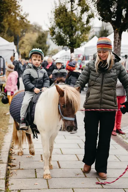 Foto: Sophia Hartsch – bunterpixel Fotografie