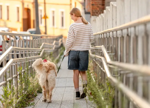 Die Margaretner SPÖ fordert in ihrem Antrag die Entfernung der Mäuse-Gerste. Die gerannenbildende Pflanze kann bei Haustieren zu starke Verletzungen verursachen. (Symbolbild) | Foto: panthermedia/tan4ikk1