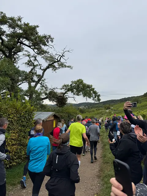 Foto: Michael Schödl