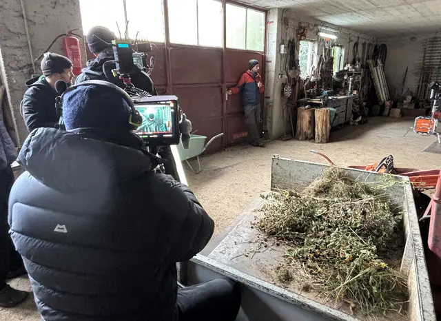 Foto: MeinBezirk/Barbara Ebner