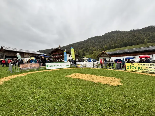 Foto: MeinBezirk/Johanna Bamberger