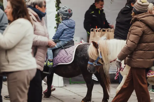 Foto: Sophia Hartsch – bunterpixel Fotografie