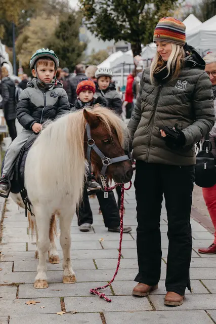 Foto: Sophia Hartsch – bunterpixel Fotografie