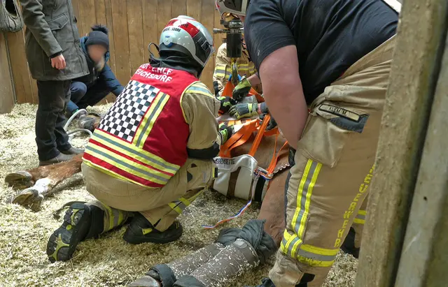 Einsatz bei einem Pferd. | Foto: BFKDO Baden / Stefan Schneider