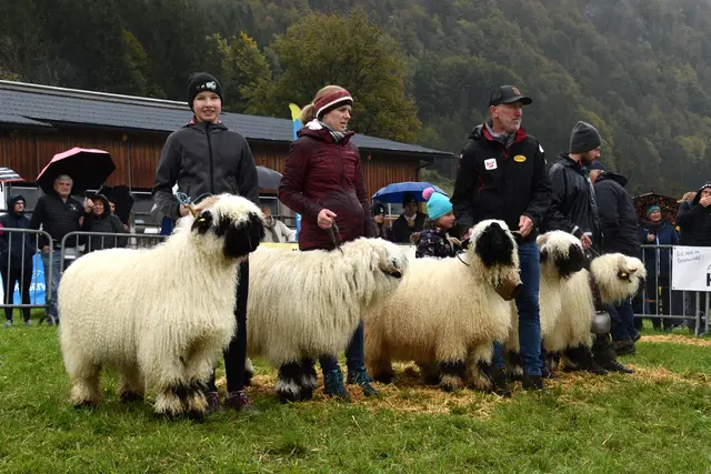 Foto: MeinBezirk/Johanna Bamberger