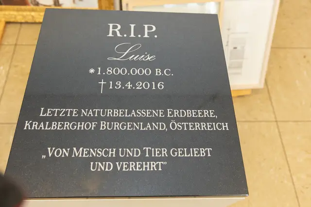 "Rest in Peace, Luise" steht auf dem Grabstein der letzten naturbelassenen Erdbeere. | Foto: René Brunhölzl/MeinBezirk