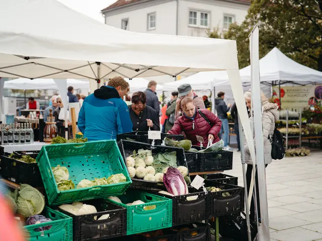 Foto: Sophia Hartsch – bunterpixel Fotografie