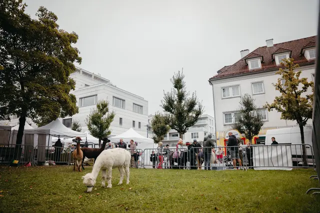 Foto: Sophia Hartsch – bunterpixel Fotografie