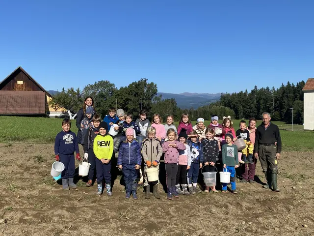 Kartoffelacker statt Klassenzimmer: Mädchen & Buben der Volksschule Radweg in Aktion. | Foto: VS Radweg